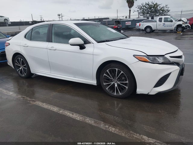 4T1G11AK1LU981207 Toyota CAMRY SE