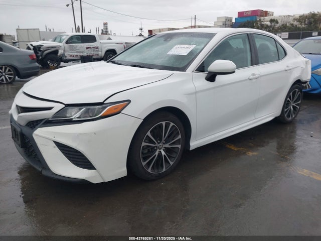 4T1G11AK1LU981207 Toyota CAMRY SE