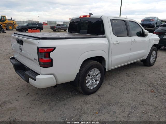 2023 NISSAN FRONTIER 1N6ED1EJ8PN611244 Photo 3