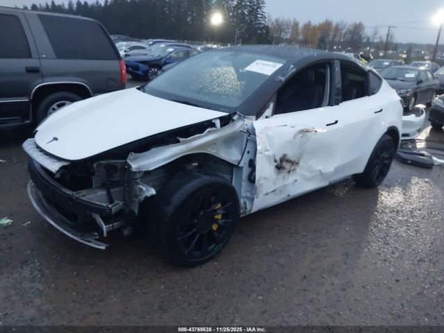 2022 TESLA MODEL Y 7SAYGAEE4NF337341 Photo 1