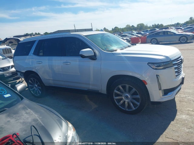 1GYS4DKL9MR386585 Cadillac Escalade 4wd Premium Luxury Platinum