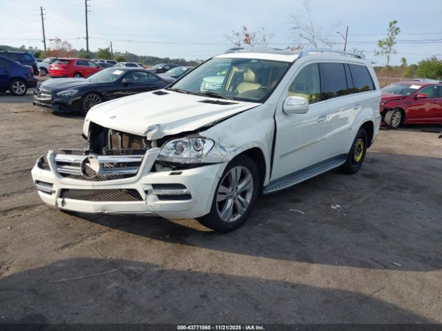 2010 MERCEDES-BENZ GL 450 4JGBF7BE0AA613929 Photo 1