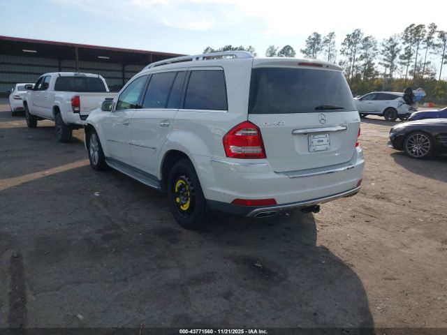 2010 MERCEDES-BENZ GL 450 4JGBF7BE0AA613929 Photo 2