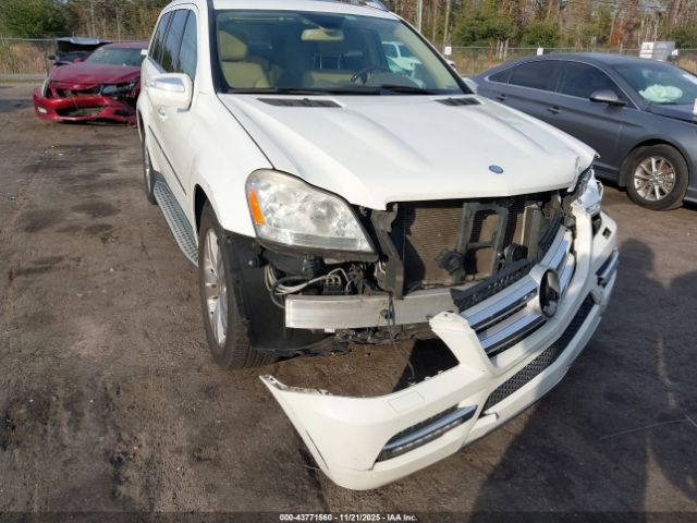 2010 MERCEDES-BENZ GL 450 4JGBF7BE0AA613929 Photo 5