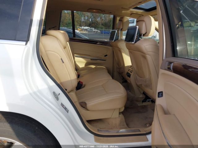 2010 MERCEDES-BENZ GL 450 4JGBF7BE0AA613929 Photo 7