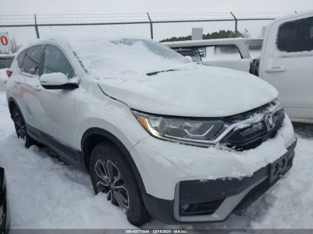 2020 HONDA CR-V 2HKRW2H50LH631775