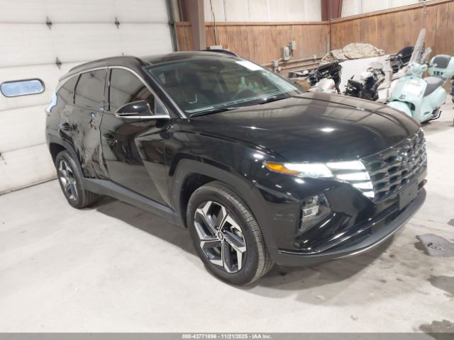 2024 HYUNDAI TUCSON HYBRID KM8JECD16RU224420