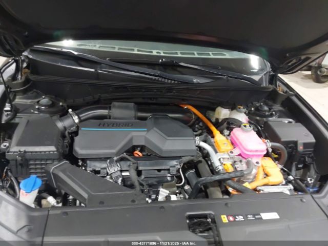 2024 HYUNDAI TUCSON HYBRID KM8JECD16RU224420 Photo 9