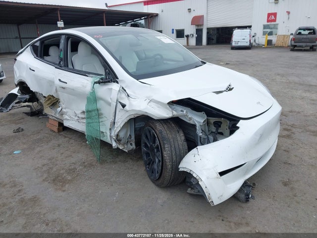 2023 TESLA MODEL Y 7SAYGDEE8PF624671 Photo 0