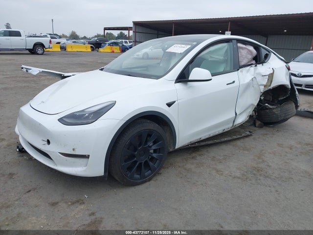 2023 TESLA MODEL Y 7SAYGDEE8PF624671 Photo 1