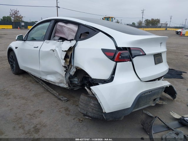 2023 TESLA MODEL Y 7SAYGDEE8PF624671 Photo 2