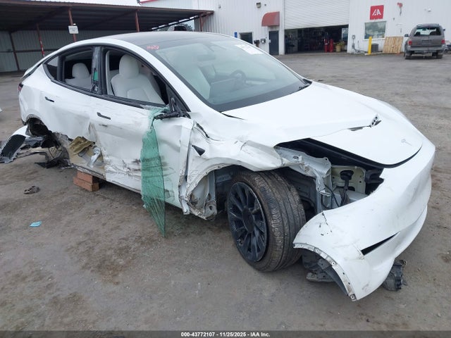 2023 TESLA MODEL Y 7SAYGDEE8PF624671 Photo 5