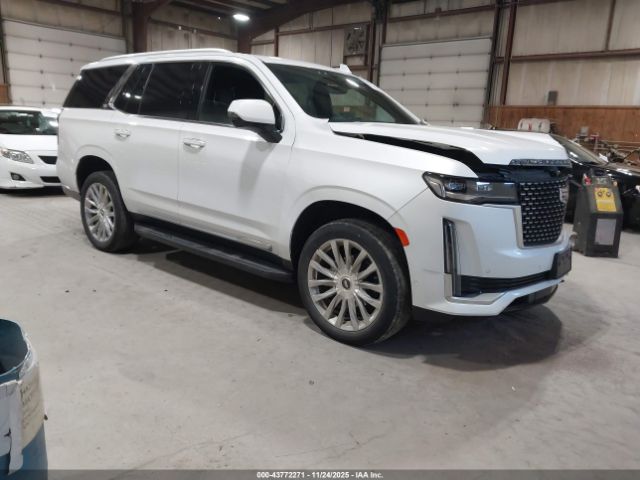 2023 CADILLAC ESCALADE 1GYS4BKL7PR336924