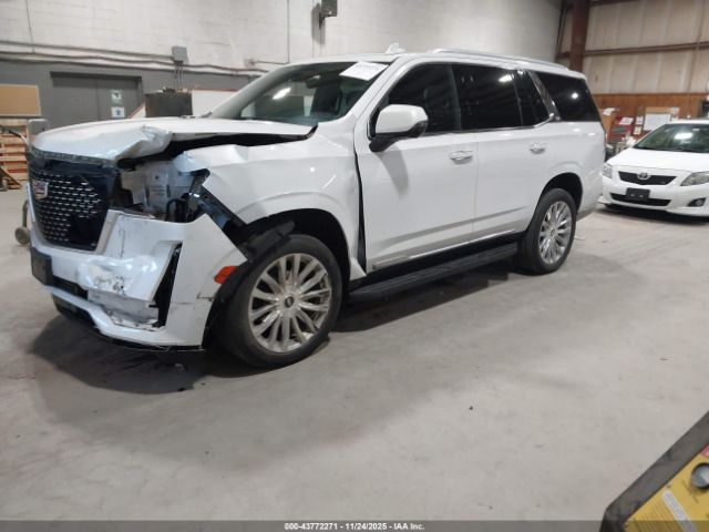 2023 CADILLAC ESCALADE 1GYS4BKL7PR336924 Photo 1