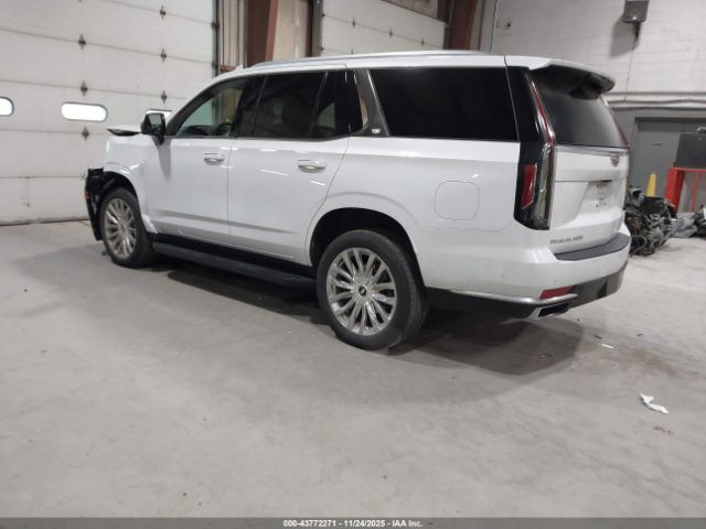 2023 CADILLAC ESCALADE 1GYS4BKL7PR336924 Photo 2