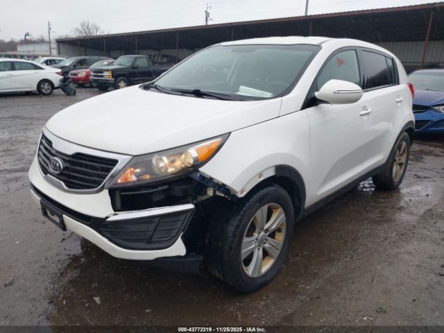 2012 KIA SPORTAGE KNDPB3A24C7344453 Photo 3