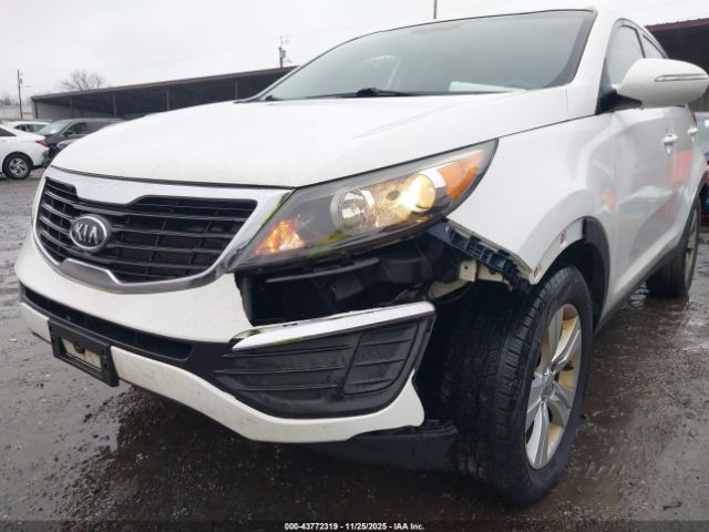 2012 KIA SPORTAGE KNDPB3A24C7344453 Photo 5