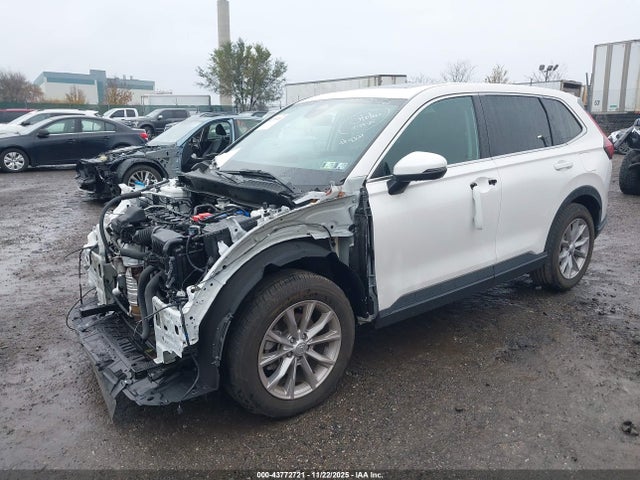 Aukcja sprzedaży 2025 Honda Cr-v Ex Awd, vin: 2HKRS4H49SH414321, numer aukcji: 43772721