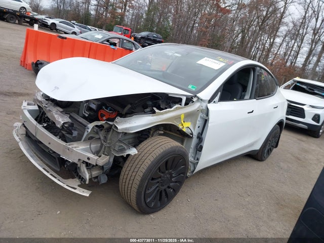 2023 TESLA MODEL Y 7SAYGDEE6PA104451 Photo 1