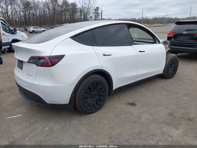 2023 TESLA MODEL Y 7SAYGDEE6PA104451 Photo 3
