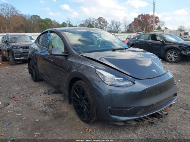 2021 TESLA MODEL Y 5YJYGDEE1MF176377