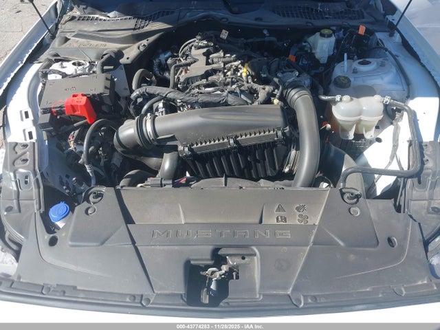 Ford Mustang Ecoboost Fastback 2024 1FA6P8TH6R5126360 Image 10