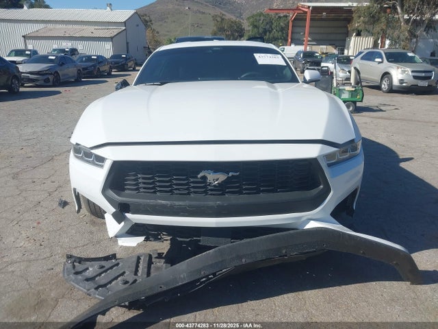 Ford Mustang Ecoboost Fastback 2024 1FA6P8TH6R5126360 Image 12