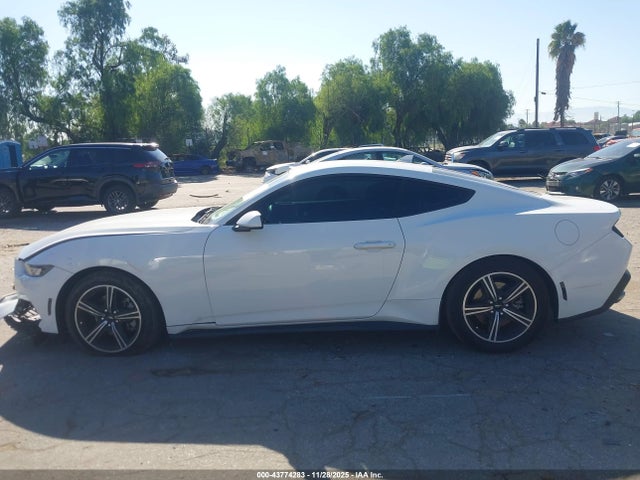 Ford Mustang Ecoboost Fastback 2024 1FA6P8TH6R5126360 Image 14
