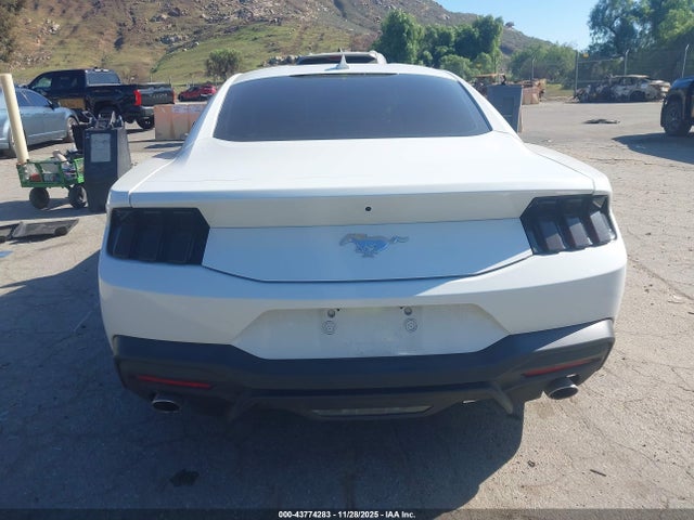 Ford Mustang Ecoboost Fastback 2024 1FA6P8TH6R5126360 Image 16