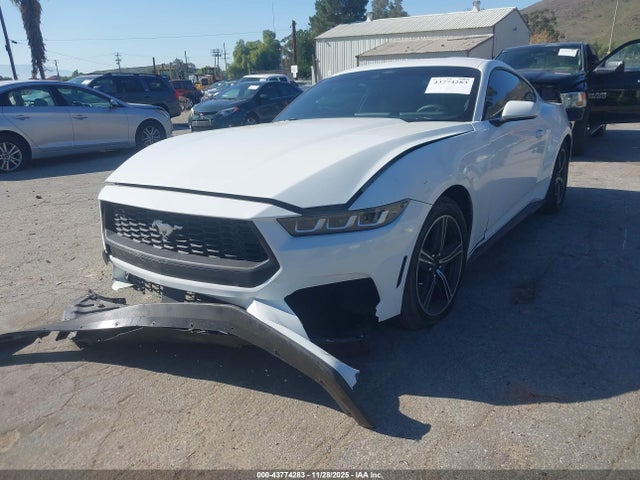 Ford Mustang Ecoboost Fastback 2024 1FA6P8TH6R5126360 Image 2