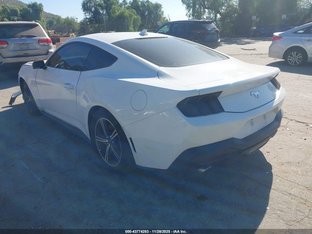 Ford Mustang Ecoboost Fastback 2024 1FA6P8TH6R5126360 Image 3