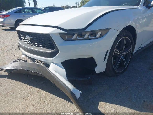Ford Mustang Ecoboost Fastback 2024 1FA6P8TH6R5126360 Image 6