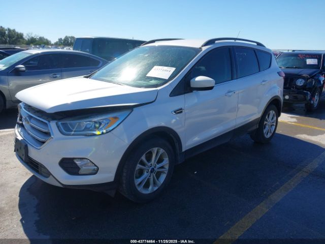 2019 FORD ESCAPE 1FMCU0HD8KUA34686 Photo 1