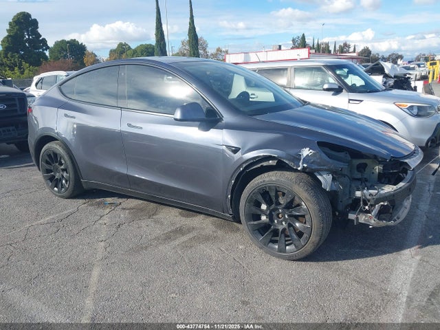2020 TESLA MODEL Y 5YJYGDEE6LF053141 Photo 0