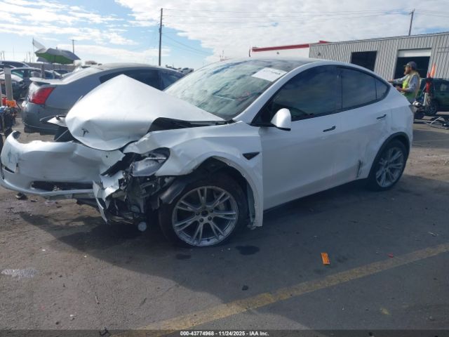 2021 TESLA MODEL Y 5YJYGDEE6MF240929 Photo 1