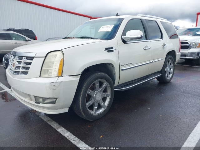 2007 CADILLAC ESCALADE 1GYFK63867R413100 Photo 1