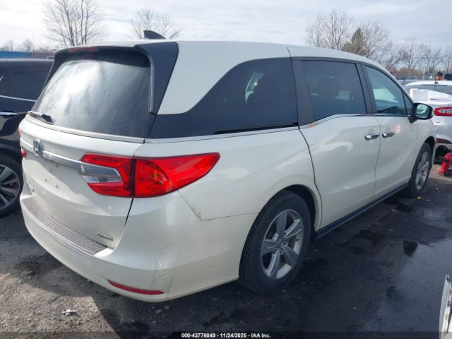 2019 HONDA ODYSSEY 5FNRL6H73KB000629 Photo 3
