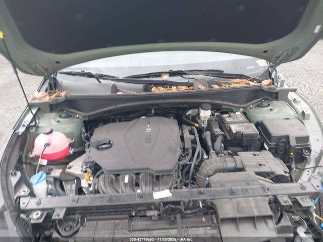 43776692 :رقم المزاد ، 5XYK6CDF3SG275690 vin ، 2025 Kia Sportage X-line مزاد بيع