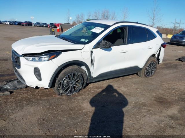 2023 FORD ESCAPE 1FMCU0E14PUB04007 Photo 1