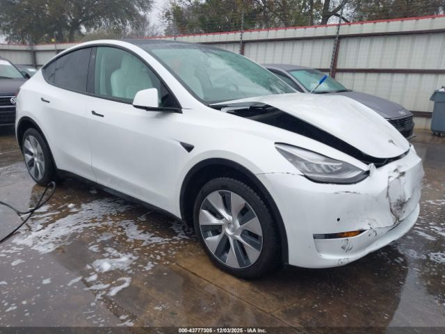 2021 TESLA MODEL Y 5YJYGDEE8MF283457