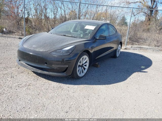 2023 TESLA MODEL 3 5YJ3E1EA8PF437990 Photo 1