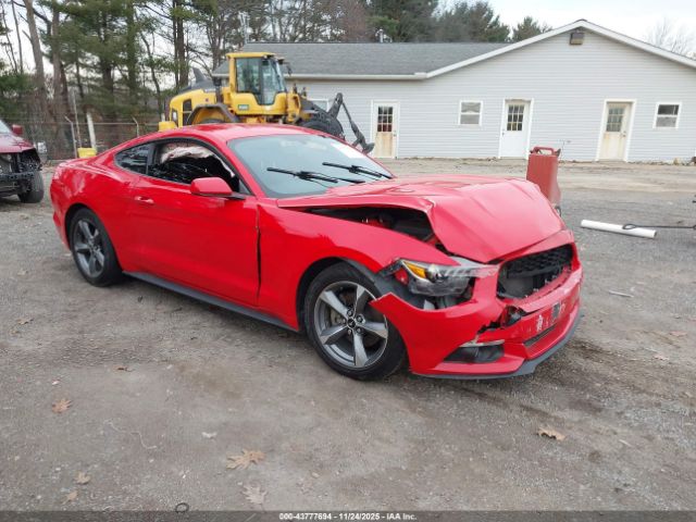 2016 FORD MUSTANG 1FA6P8AM0G5337535