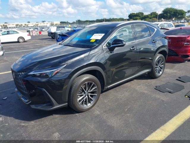 2023 LEXUS NX 250 2T2ADCAZ2PC005588 Photo 1
