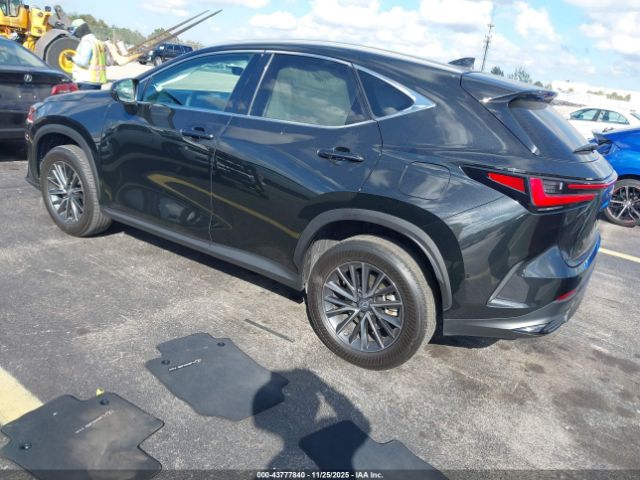 2023 LEXUS NX 250 2T2ADCAZ2PC005588 Photo 2