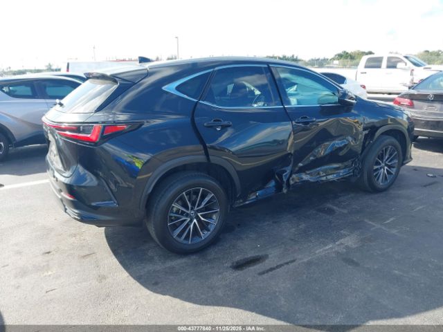 2023 LEXUS NX 250 2T2ADCAZ2PC005588 Photo 3
