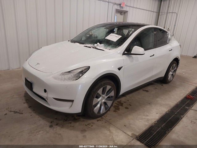 2023 TESLA MODEL Y 7SAYGDEE2PA041509 Photo 1