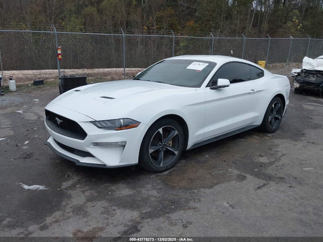 2018 FORD MUSTANG 1FA6P8TH4J5162021 Photo 1