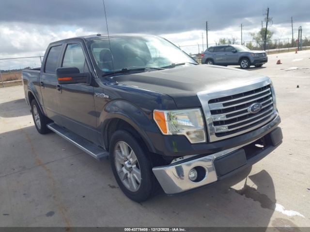 2013 FORD F-150 1FTFW1CF8DKF64889