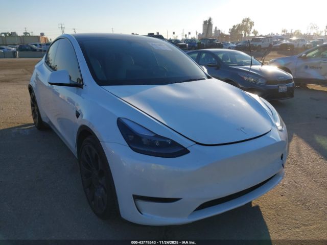 2023 TESLA MODEL Y 7SAYGDEF4PF738918 Photo 0