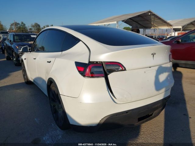 2023 TESLA MODEL Y 7SAYGDEF4PF738918 Photo 2